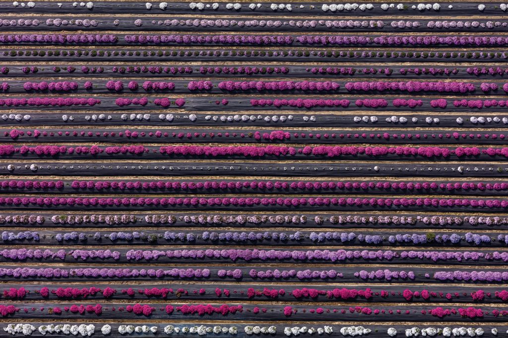 Donn Delson: Elevated Perspectives in Abstract Photography