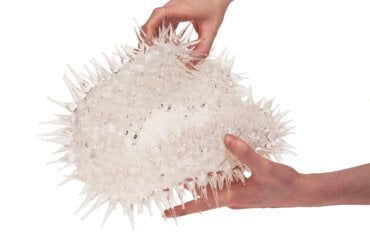 Plymouth College of Art MA Graduate Wins Future Makers Award