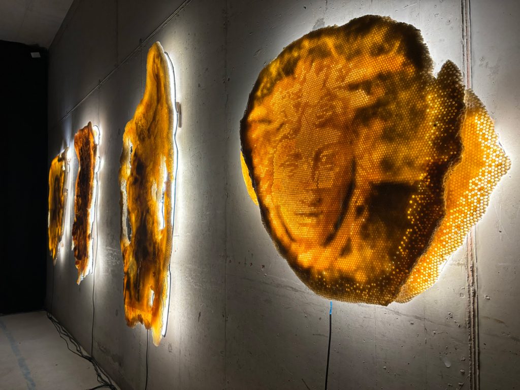 Lee Sharrock in conversation with ‘Nature the Artist’ AKA Tomás João