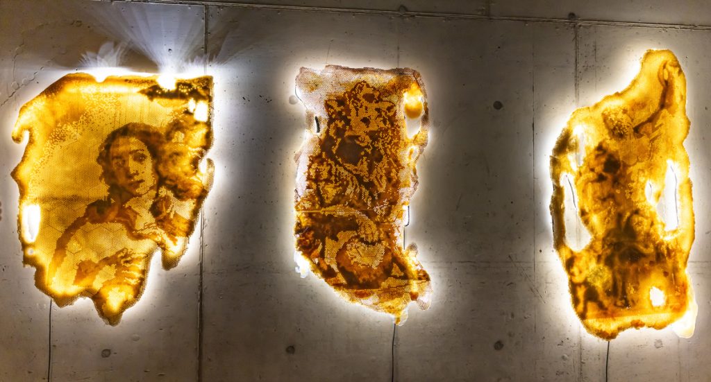 Lee Sharrock in conversation with ‘Nature the Artist’ AKA Tomás João
