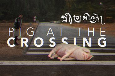 Pig at the Crossing