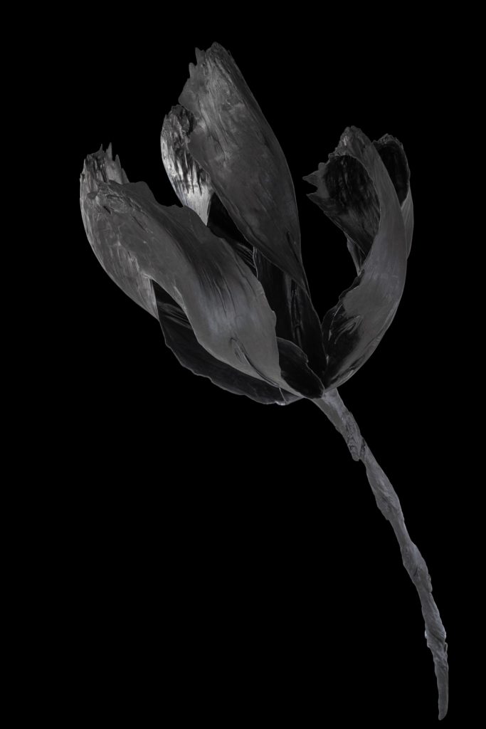 Wallace Chan: The Alchemist of Gemstones, Sculptures, and Meticulous Precision